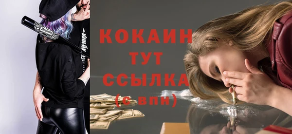 винт Гусев