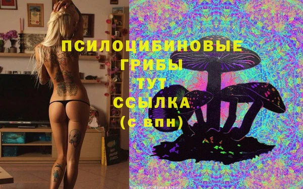 винт Гусев