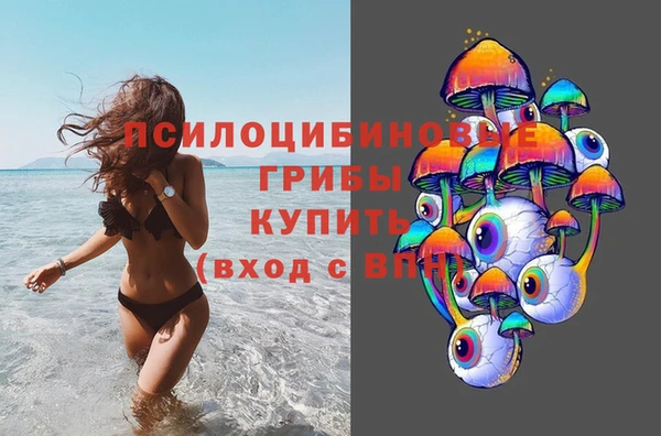 винт Гусев