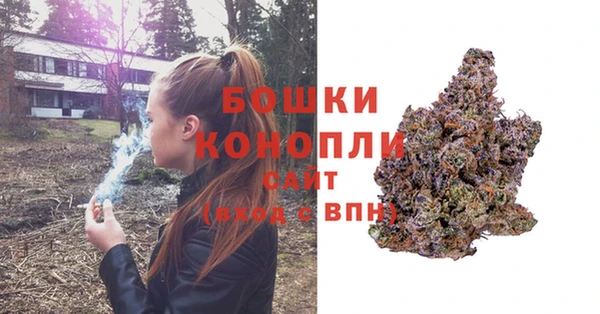 винт Гусев