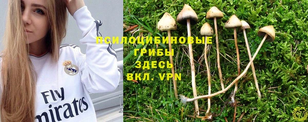 винт Гусев