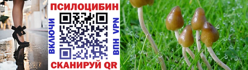 дарнет шоп  Макаров  Галлюциногенные грибы Cubensis 